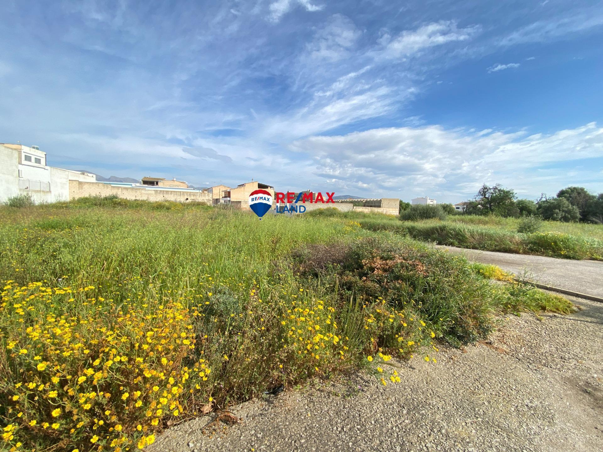 Terreno en Sa Pobla, Islas Baleares en venta Foto principal- Imagen 1 de 7