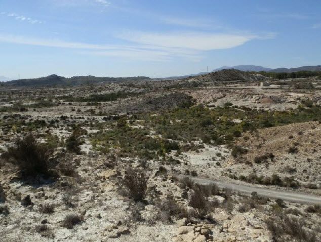 del Poligo, 10, Murcia, Murcia en alquiler - Vista aérea - Imagen 1 de 12