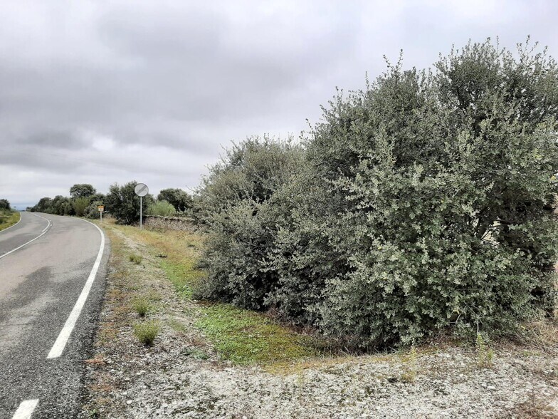 Terreno en Torremocha, Cáceres en venta - Foto principal - Imagen 2 de 7