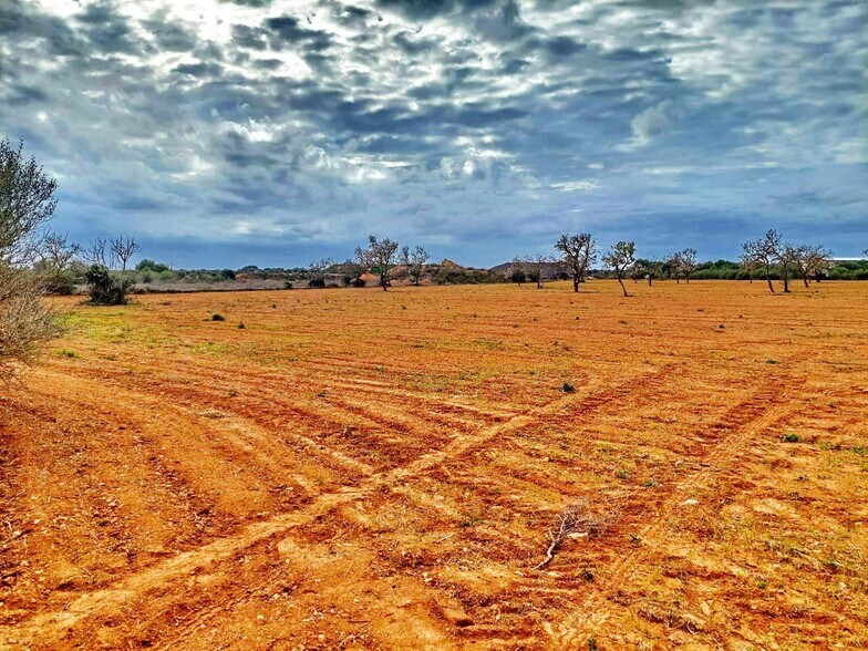 Terreno en Campos, Islas Baleares en venta - Vista aérea - Imagen 3 de 6