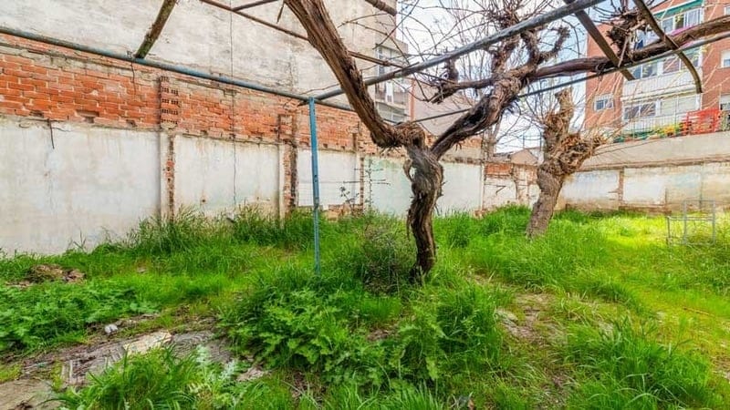 Calle de Peironcely, 36, Madrid, Madrid en venta - Foto de la construcción - Imagen 3 de 3