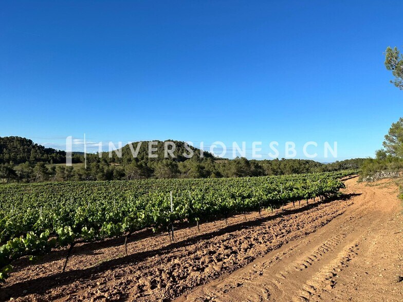 Terreno en Vimbodí i Poblet, Tarragona en venta - Otros - Imagen 3 de 8