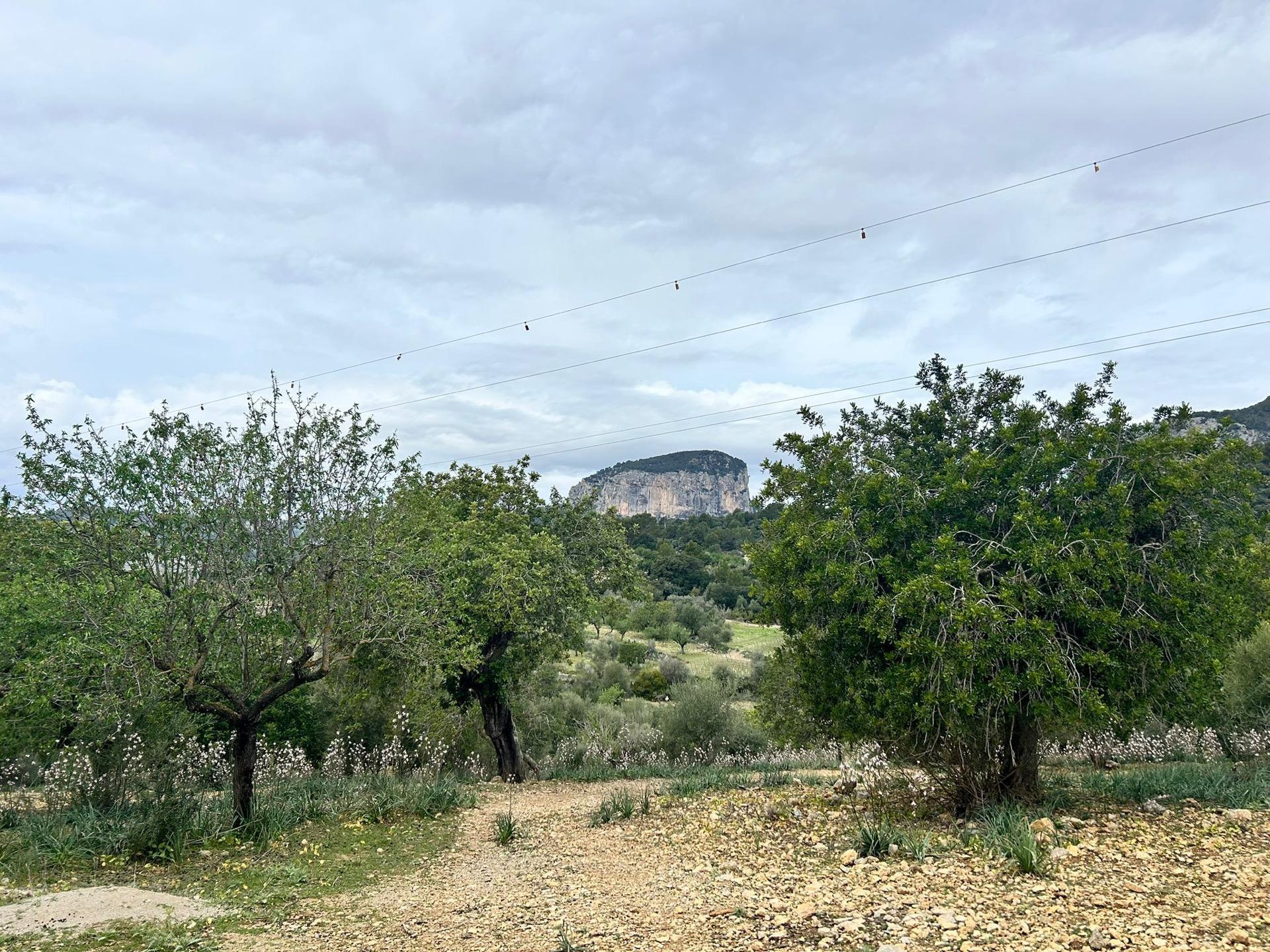 Terreno en Alaró, Islas Baleares en venta Foto del edificio- Imagen 1 de 7