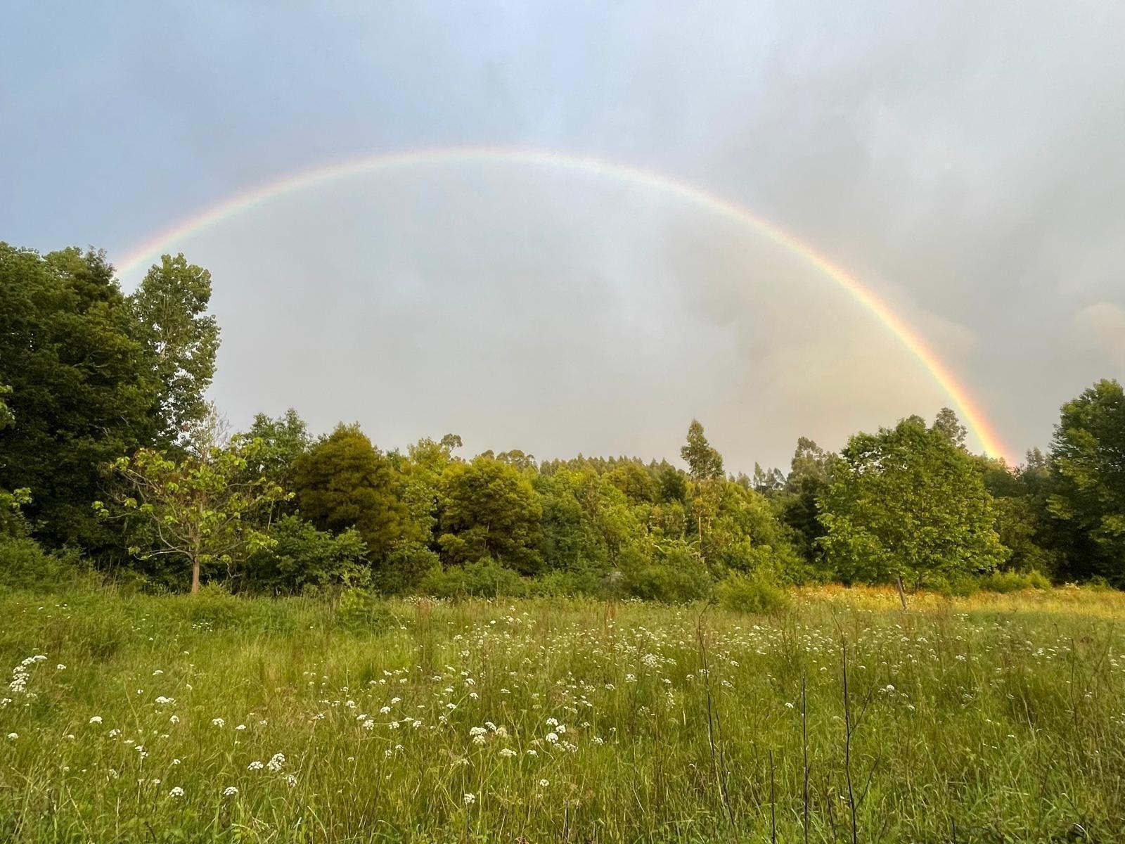 Terreno en Meis, Pontevedra en venta Foto del edificio- Imagen 1 de 20