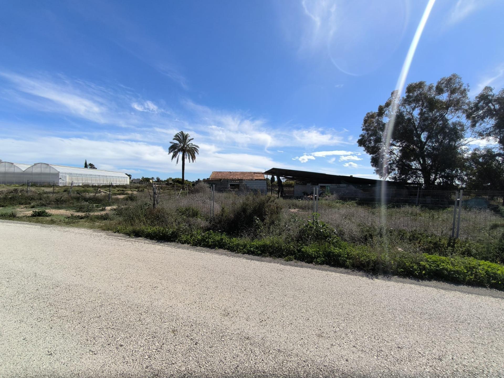 Terreno en ELX, Alicante en venta Foto principal- Imagen 1 de 1