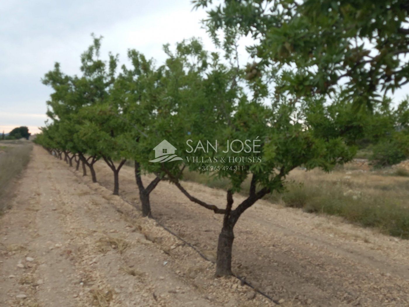 Terreno en MONÒVER, Alicante en venta Foto principal- Imagen 1 de 16