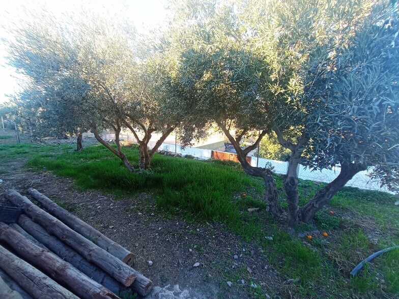 del Cerrillo Páez, 5, Dalías, Almería en venta - Foto del edificio - Imagen 3 de 10