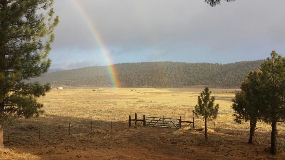 2809 Cedar Ln, Big Bear City, CA en venta - Foto del edificio - Imagen 1 de 3