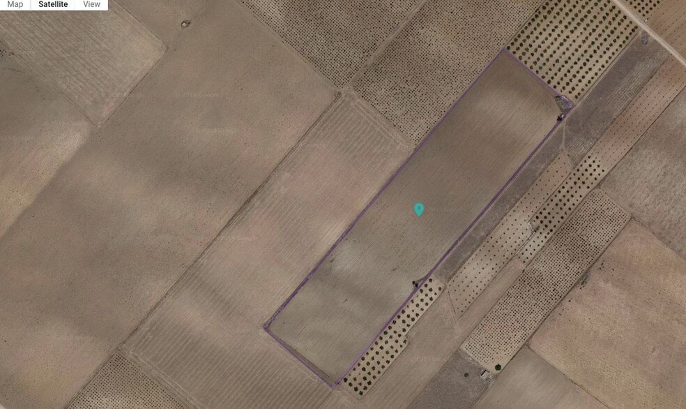 Terreno en Yecla, Murcia en venta - Foto principal - Imagen 1 de 2