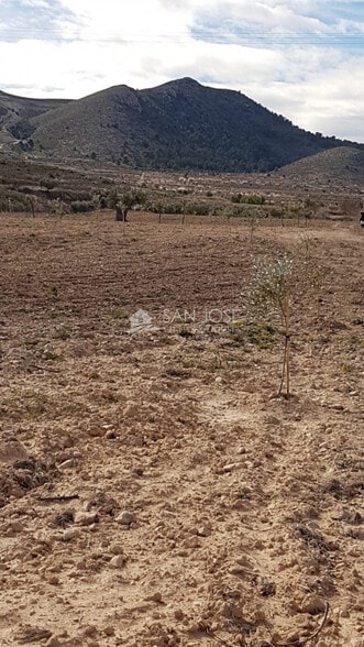 Terreno en HONDÓN DE LAS NIEVES, Alicante en venta - Foto principal - Imagen 2 de 2