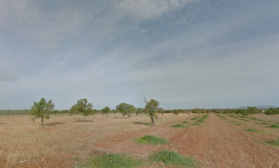 Terreno en Campos, Islas Baleares en venta - Vista aérea - Imagen 3 de 5