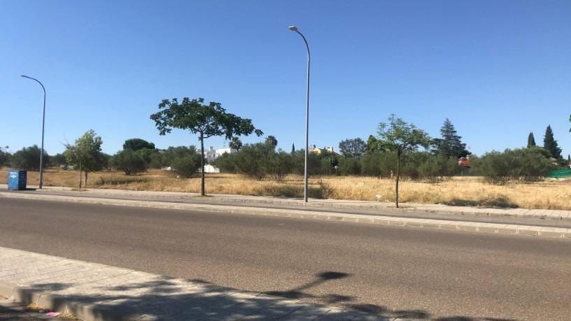 Terreno en Palomares del Río, Sevilla en venta Vista aérea- Imagen 1 de 5
