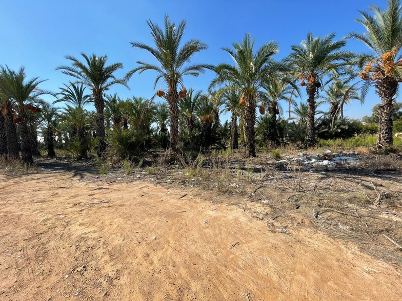 Terreno en Crevillent, Alicante en venta - Foto principal - Imagen 2 de 5