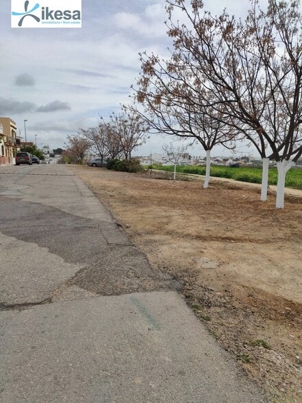 Terreno en Burguillos, Sevilla en venta - Foto del edificio - Imagen 2 de 21