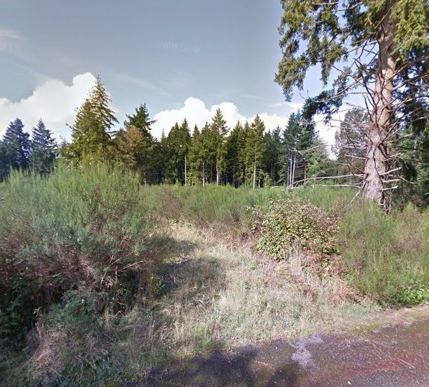 SW Fishpond Creek Dr, Tumwater, WA en venta - Foto principal - Imagen 1 de 1