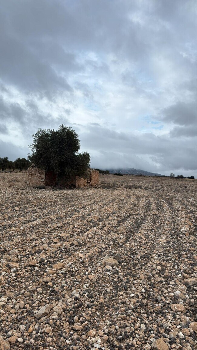 Más detalles de Terreno en venta