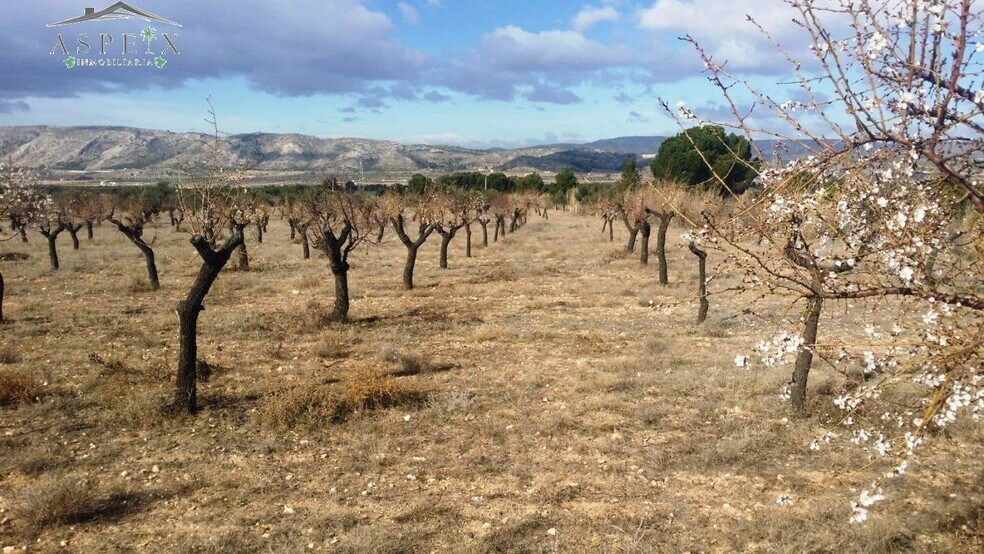 Terreno en Biar, Alicante en venta - Vista aérea - Imagen 1 de 6
