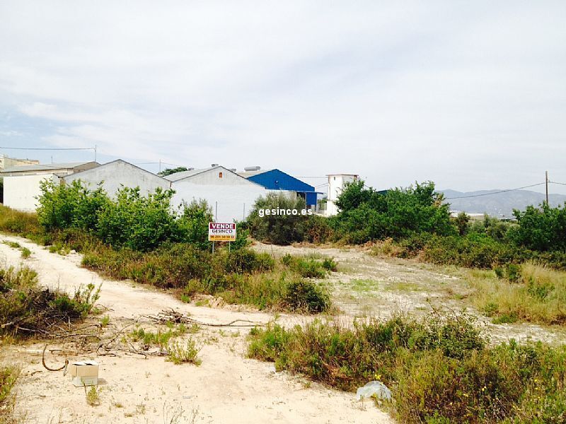 Terreno en Agullent, Valencia en venta Foto principal- Imagen 1 de 3