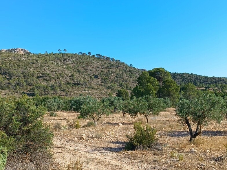 Terreno en Yecla, Murcia en venta - Vista aérea - Imagen 2 de 3