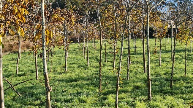 Más detalles de Terreno en venta