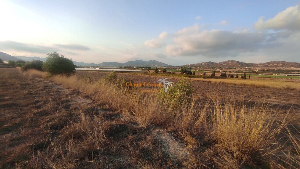 Partida Alcana, Aspe Pedanias, 49, Elche, Alicante en venta - Vista aérea - Imagen 3 de 5