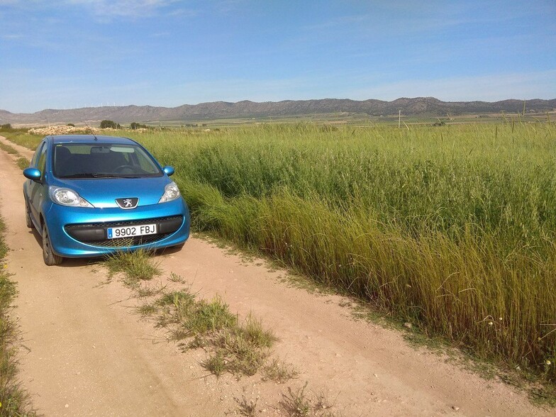 Terreno en Yecla, Murcia en venta - Foto principal - Imagen 2 de 12