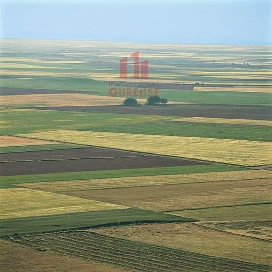 Terreno en San Cibrao das Viñas, Orense en venta Foto del edificio- Imagen 1 de 2