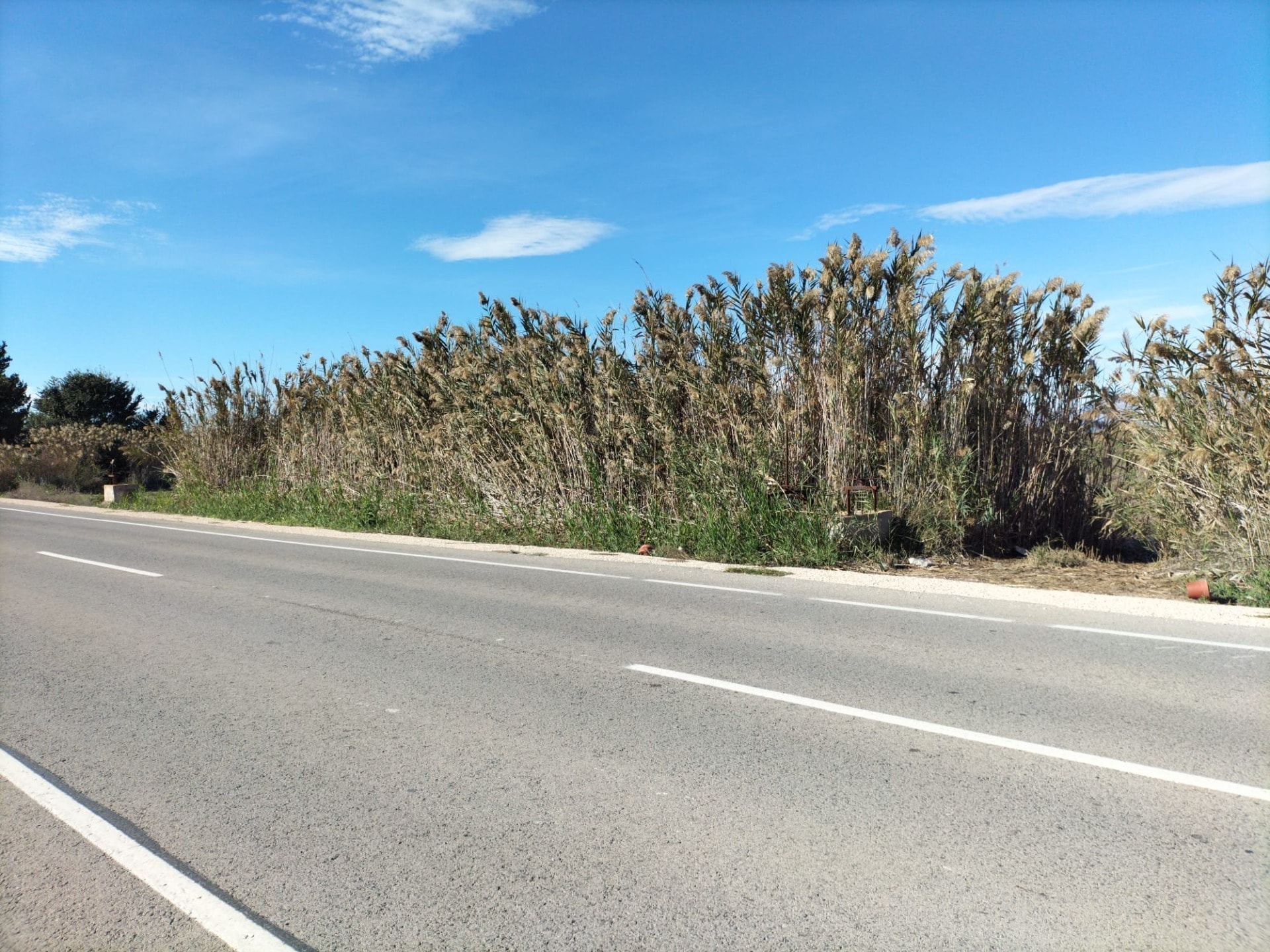 Terreno en Elche en venta Foto del edificio- Imagen 1 de 8