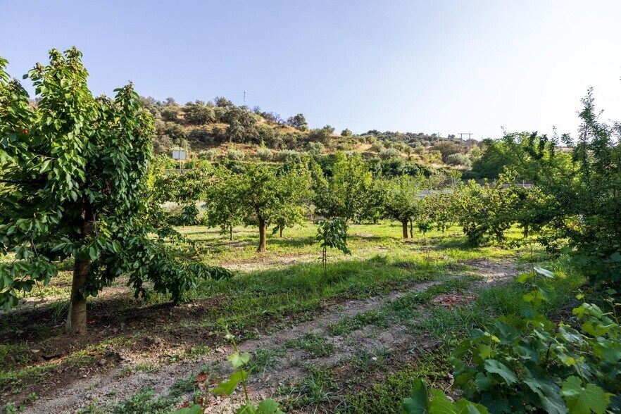 Paseo la Duquesa, S/N, Pinos Genil, Granada en venta - Foto del edificio - Imagen 2 de 41