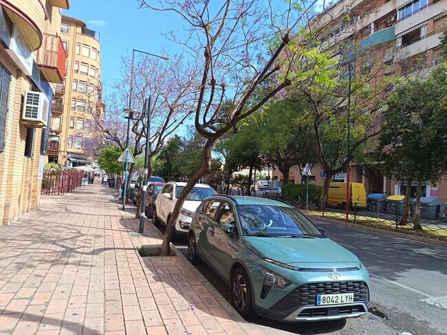 Más detalles de Local en alquiler