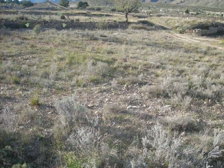 Terreno en HONDÓN DE LAS NIEVES, Alicante en venta - Plano del sitio - Imagen 2 de 7