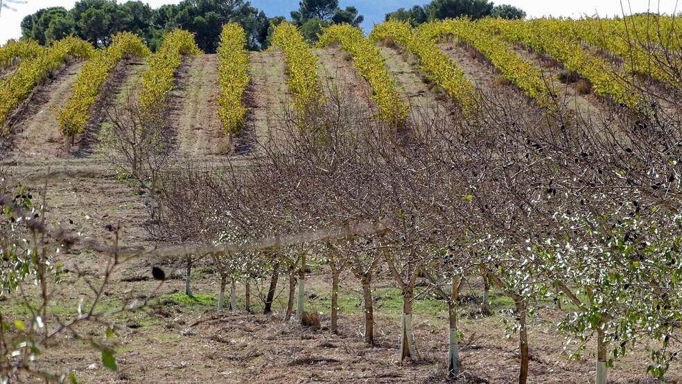 Pocido, La Font de la Figuera, Valencia en venta - Foto principal - Imagen 1 de 21