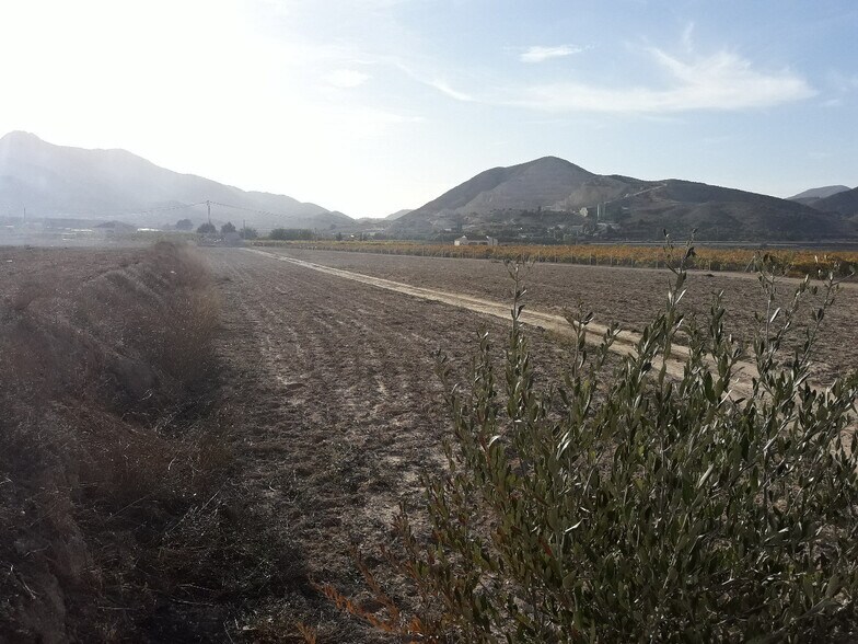 Terreno en Aspe, Alicante en venta - Vista aérea - Imagen 3 de 4