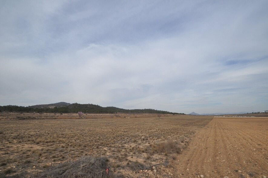 Terreno en MONÒVER, Alicante en venta - Vista aérea - Imagen 2 de 3