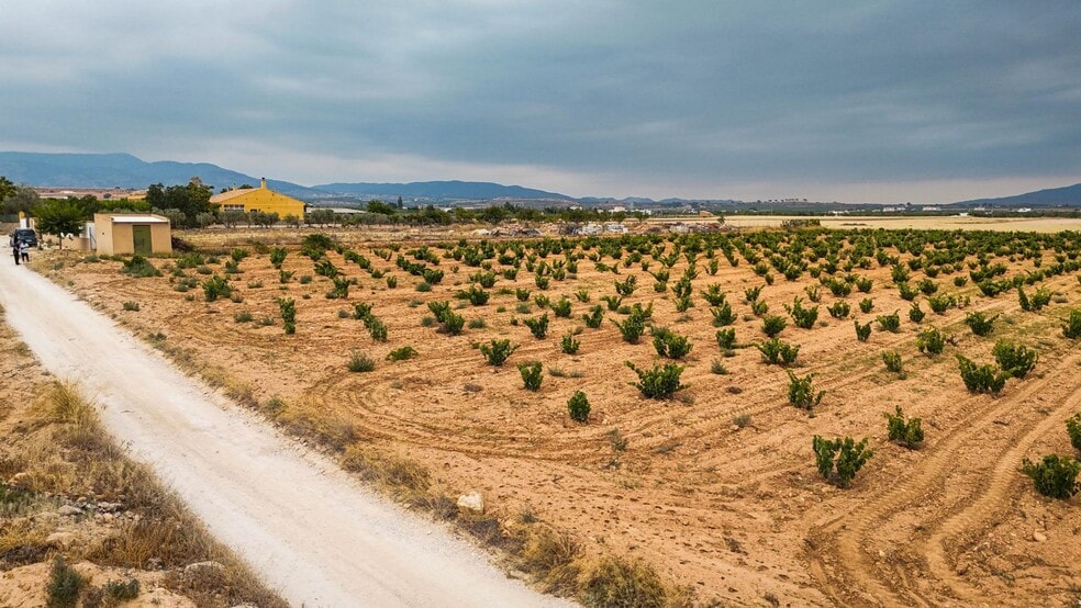 Paratge, 127, PINOSO, Alicante en venta - Vista aérea - Imagen 3 de 10