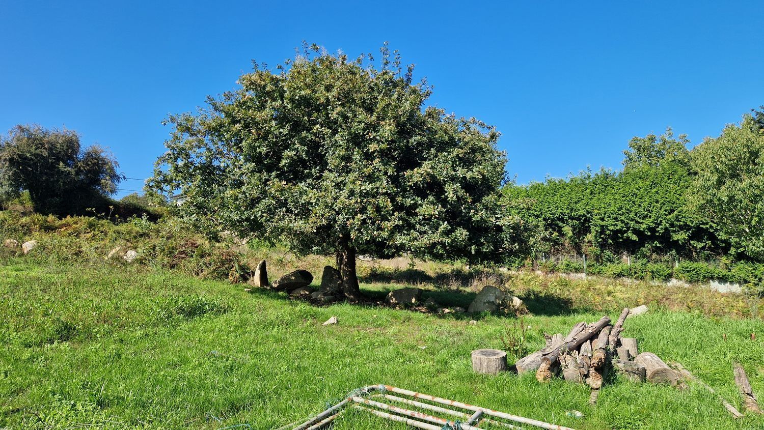 Terreno en Vigo en venta Foto del edificio- Imagen 1 de 26