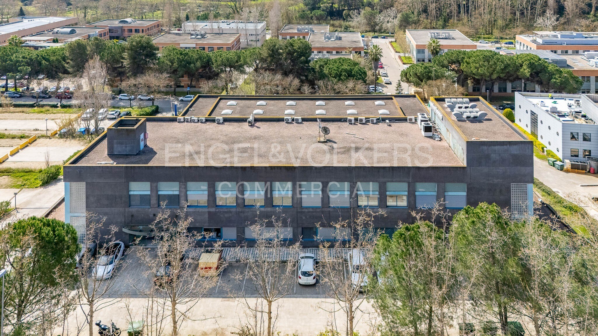 Flex en Cerdanyola del Vallès, Barcelona en alquiler Foto del interior- Imagen 1 de 18