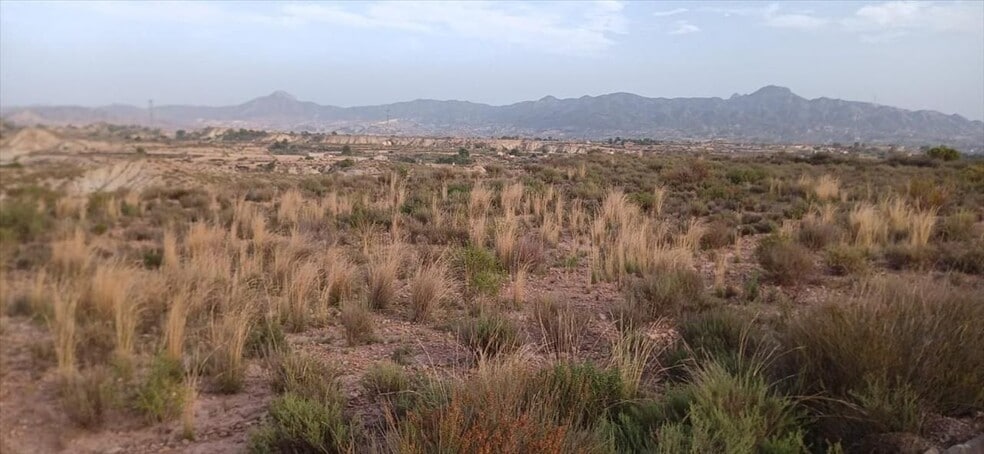 Abanilla, S/N, Abanilla, Murcia en venta - Plano del sitio - Imagen 3 de 10
