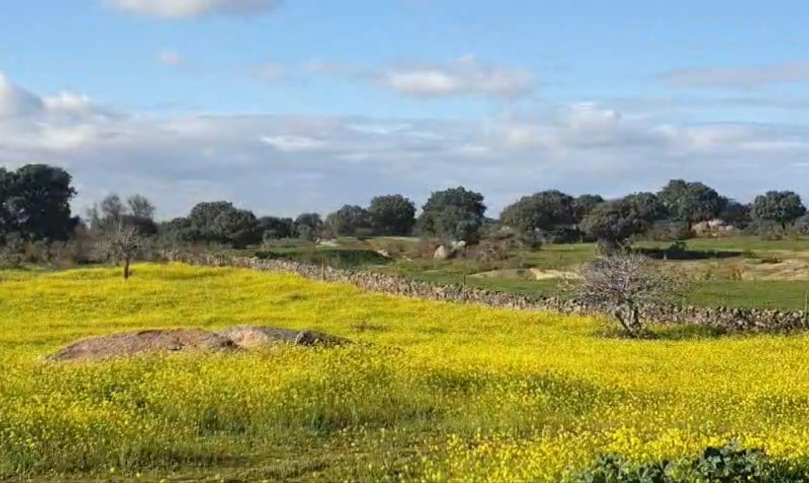 Terreno en Cáceres, Cáceres en venta Vista aérea- Imagen 1 de 2