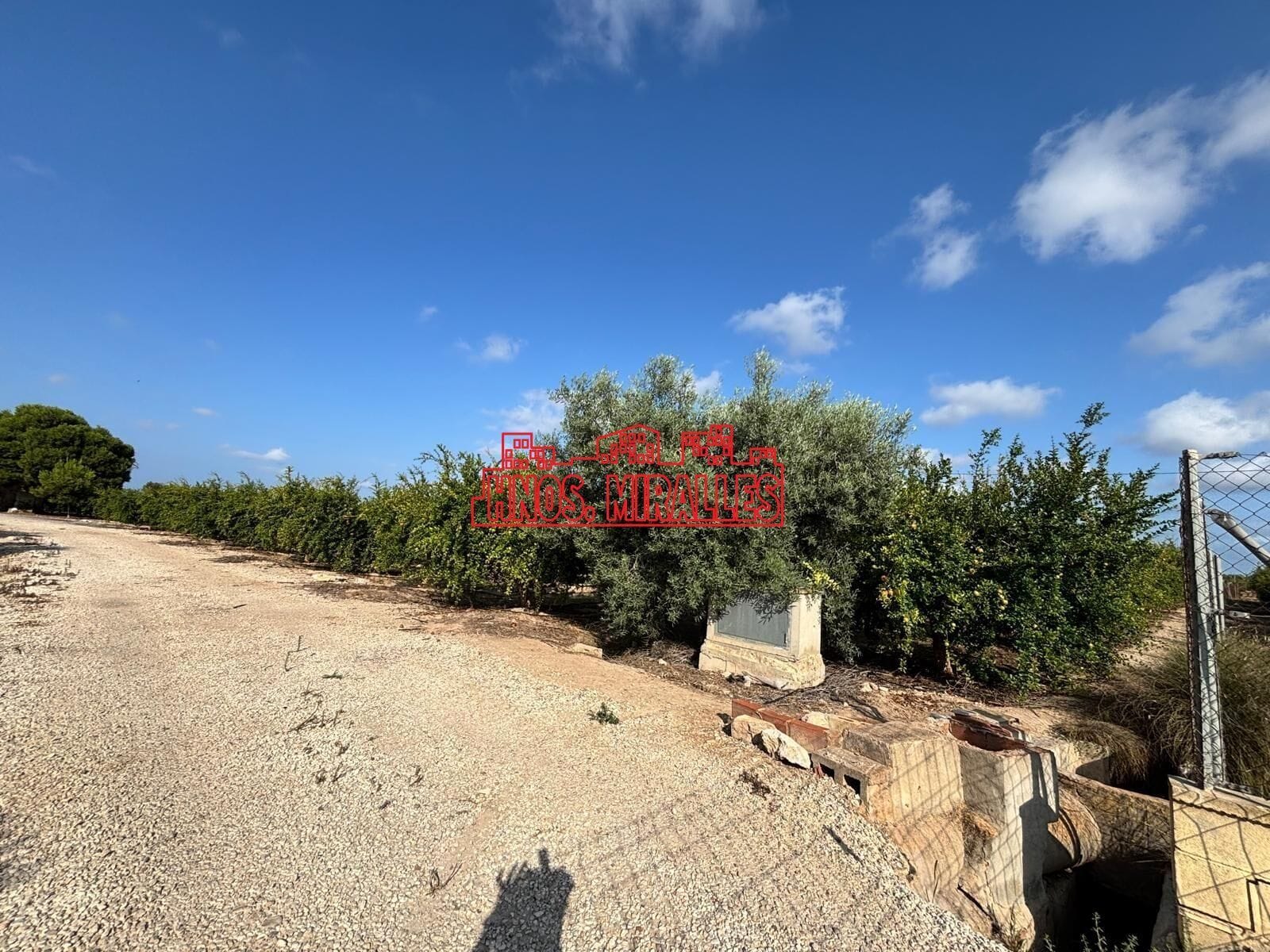 Terreno en Elche, Alicante en venta Foto del edificio- Imagen 1 de 5