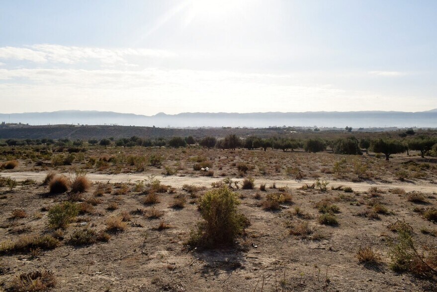 Nave en Murcia en venta - Foto del edificio - Imagen 3 de 7