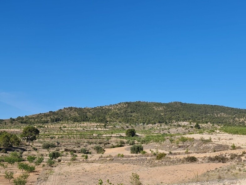 Terreno en Yecla, Murcia en venta - Foto principal - Imagen 2 de 28