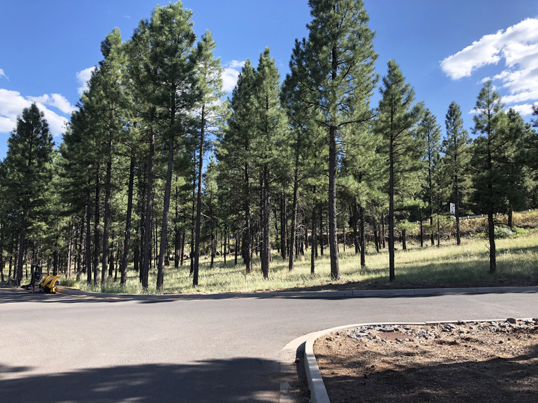 800 N Switzer Canyon Dr, Flagstaff, AZ en venta - Otros - Imagen 1 de 16