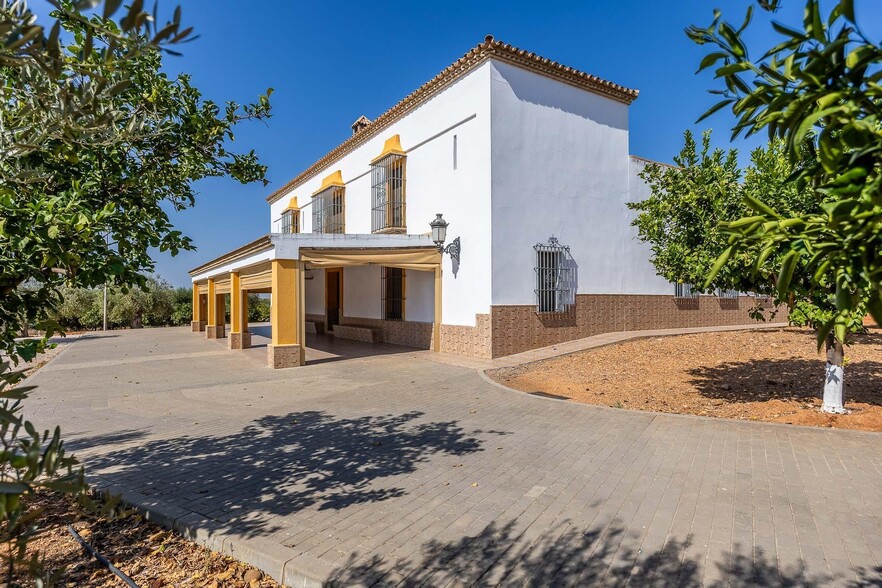 Terreno en Carmona, Sevilla en venta - Foto del edificio - Imagen 2 de 60