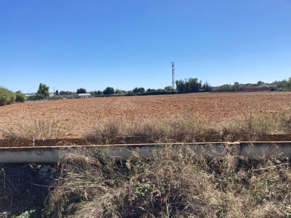 Terreno en Jerez de la Frontera, Cádiz en alquiler Plano del sitio- Imagen 1 de 9