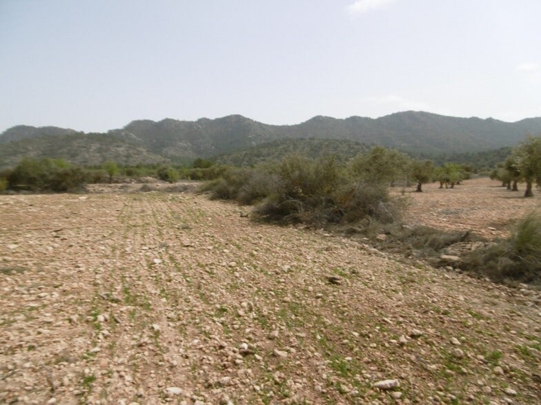 Terreno en Yecla, Murcia en venta - Plano del sitio - Imagen 2 de 3