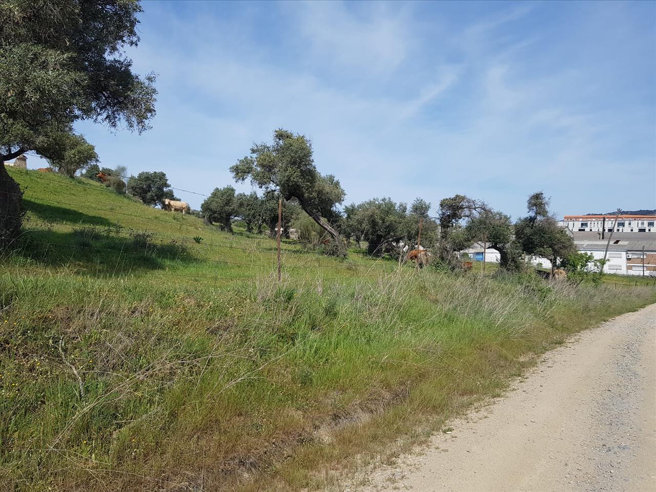 Calzada de San Lázaro, Plasencia, Cáceres en venta Vista aérea- Imagen 1 de 14