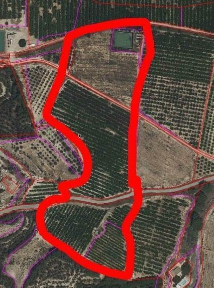 Más detalles de Polígono Ascoy, Cieza - Terreno en venta