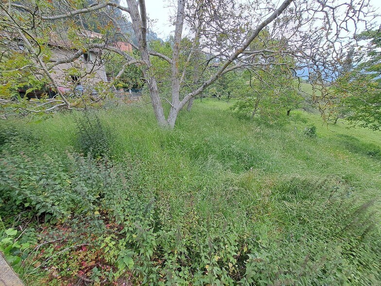 Puelles, Villaviciosa, Asturias en venta - Foto del edificio - Imagen 3 de 20