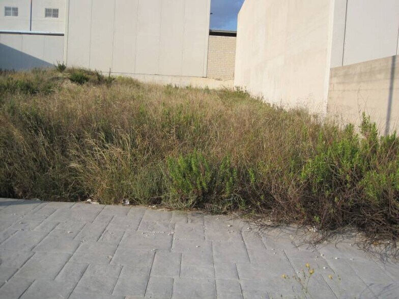 Terreno en Aspe, Alicante en venta - Foto de la construcción - Imagen 2 de 3